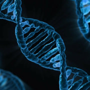 Olisiko tämä DNA -manipulaation tulos?