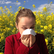 Asiantuntija neuvoo: hengityssuojaimella apua allergiaoireisiin