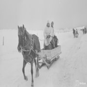 Talvisota - 31.1.1940