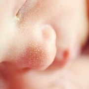 Uusin villitys: " meille tulee vauva" - videot