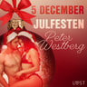 5 december: Julfesten - en erotisk julkalender - äänikirja