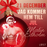 Malin Edholm - 21 december: Jag kommer hem till jul - en erotisk julkalender