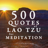 500 Quotes of Lao Tsu for Meditation - äänikirja