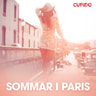 Kustantajan työryhmä - Sommar i Paris - erotiska noveller