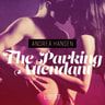 The Parking Attendant - erotic short story - äänikirja