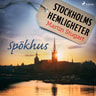Stockholms hemligheter - Personligheter - äänikirja