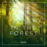 Rasmus Broe - Ambience - In the Forest