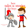 Best Tales and Stories for Boys - äänikirja