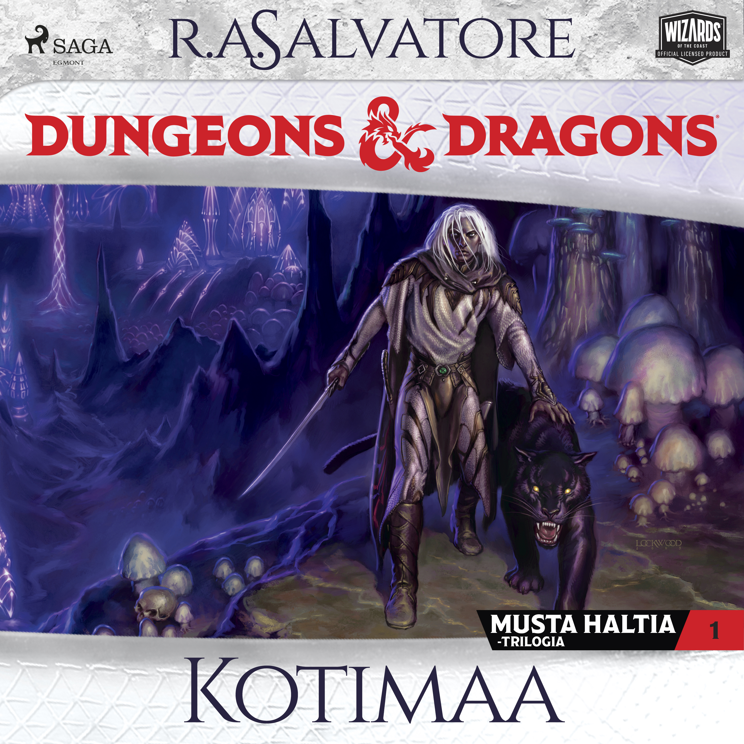 R.A. Salvatore - Dungeons & Dragons – Drizztin legenda: Kotimaa
