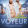 Ossian Strömquist - Voyeur i Köpenhamn 2 - erotisk novell