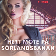 Hett möte på Sörlandsbanan - erotiska noveller - äänikirja