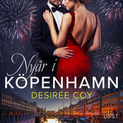 Desirée Coy - Nyår i Köpenhamn - erotisk romance
