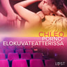 Chleo - Pornoelokuvateatterissa - eroottinen novelli