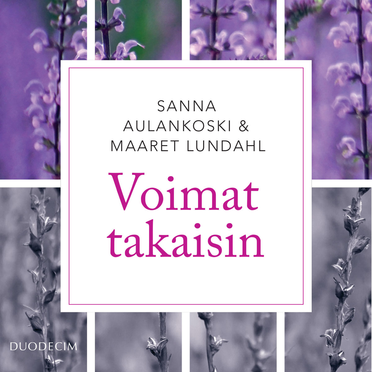 Sanna Aulankoski ja Maaret Lundahl - Voimat takaisin – Tietoa ja dialogia työuupumuksesta