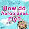 How do Aeroplanes Fly? - äänikirja
