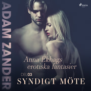 Adam Zander - Syndigt möte – Anna Ekhags erotiska fantasier del 3