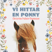 Christine Pullein Thompson - Vi hittar en ponny