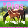 Eva Berggren - Pias ponnygäng