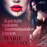 Marie Metso - Kun tulit taakseni kummitustalon jonoon - eroottinen novelli