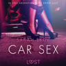 Sarah Skov - Car Sex - Sexy erotica
