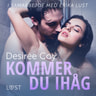 Desirée Coy - Kommer du ihåg - erotisk novell