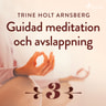 Guidad meditation och avslappning - Del 3 - äänikirja