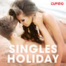 Singles holiday - äänikirja
