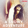 A Snowy Adventure - äänikirja