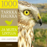 Juha Laaksonen - Tarkka haukka ja muita lintuja