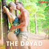 Kustantajan työryhmä - The Dryad