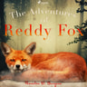 The Adventures of Reddy Fox - äänikirja