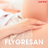 Flygresan - erotiska noveller - äänikirja
