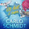 Carlo Schmidt - Ett hål i isen