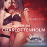 Stölden på Charlottenholm - erotisk spänningsnovell - äänikirja