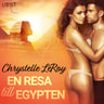 En resa till Egypten - erotisk novell - äänikirja