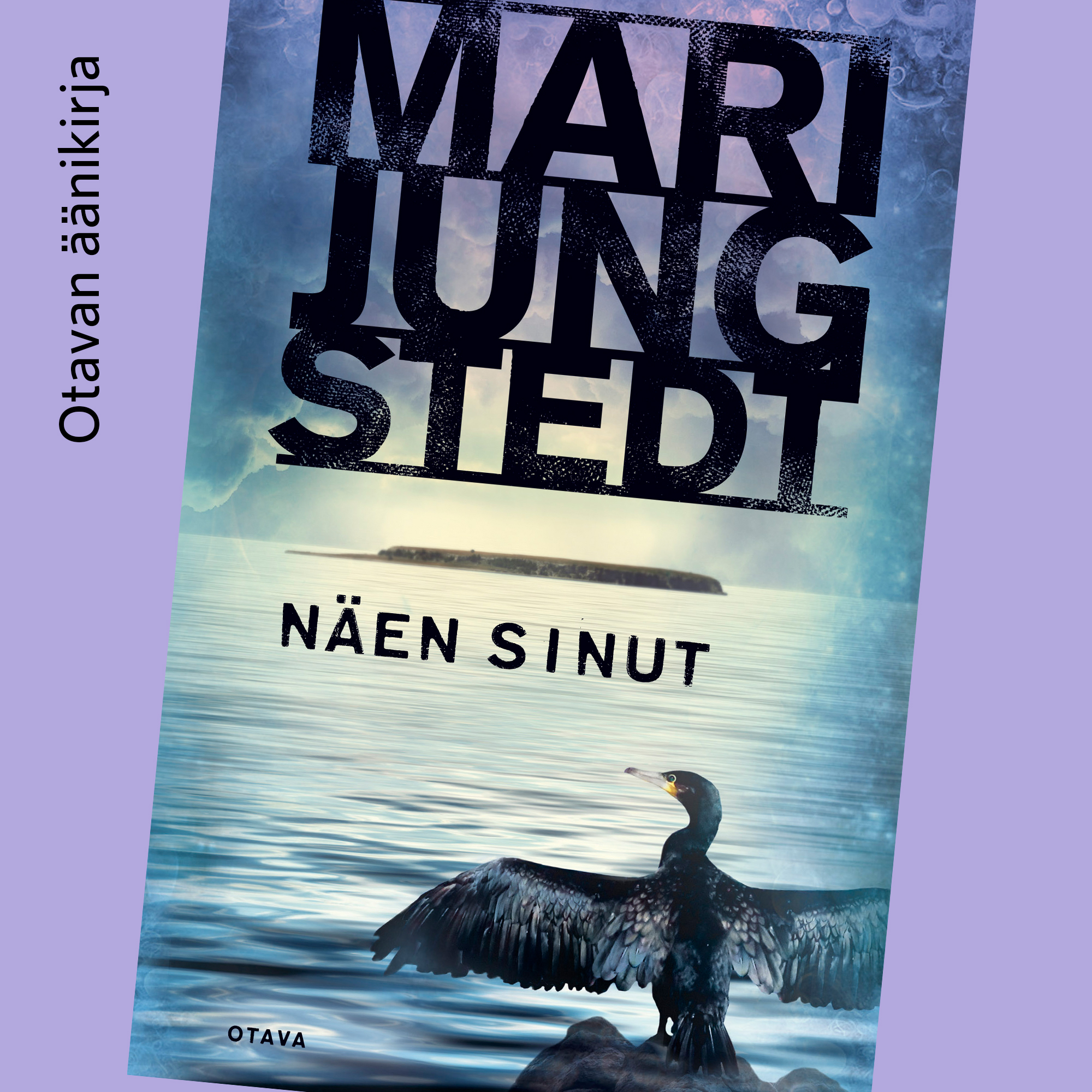 Mari Jungstedt - Näen sinut