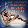B. J. Hermansson - Hiljaisuus, kuvaus, seksiä! - eroottinen novelli