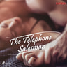 The Telephone Salesman - äänikirja