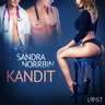 Sandra Norrbin - Kandit - eroottinen novelli