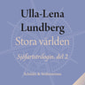 Ulla-Lena Lundberg - Stora världen