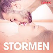 Stormen - erotiska noveller - äänikirja