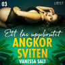Vanessa Salt - Angkorsviten 3: Ett lås uppbrutet