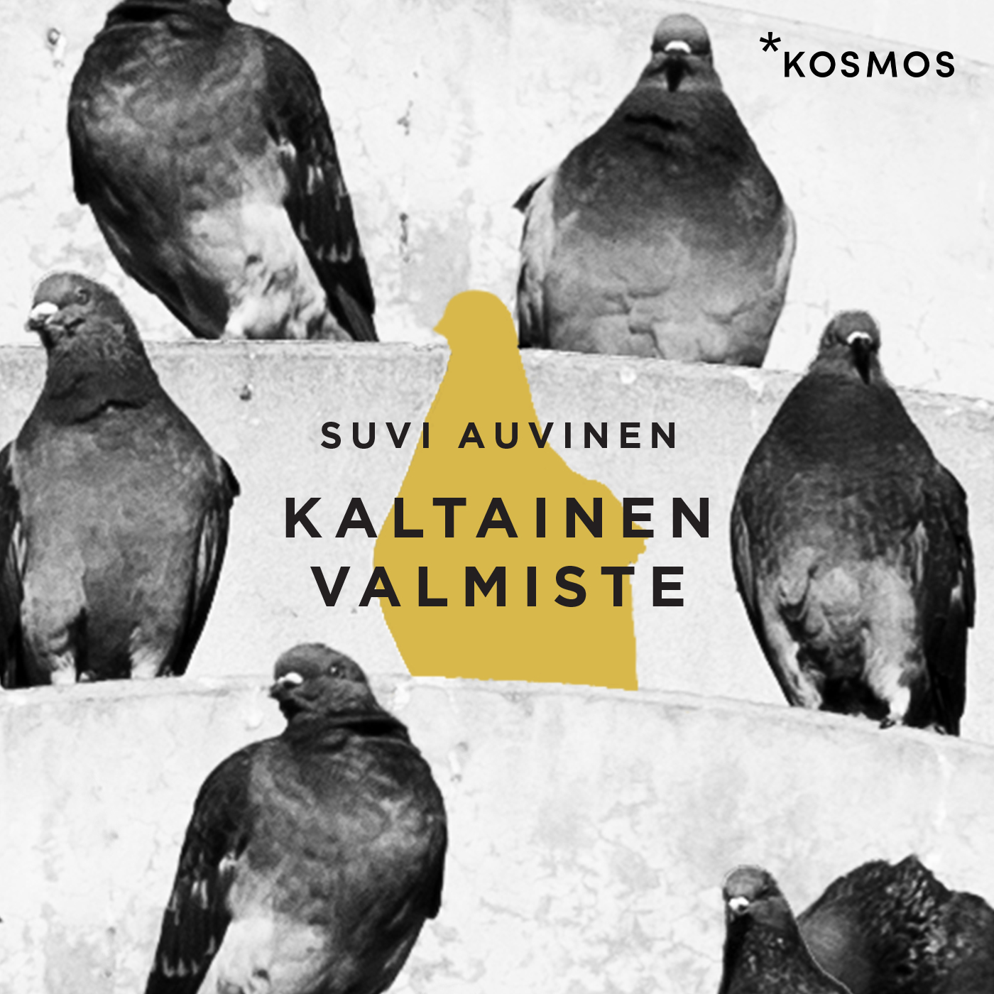 Suvi Auvinen - Kaltainen valmiste