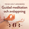 Guidad meditation och avslappning - Del 6 - äänikirja