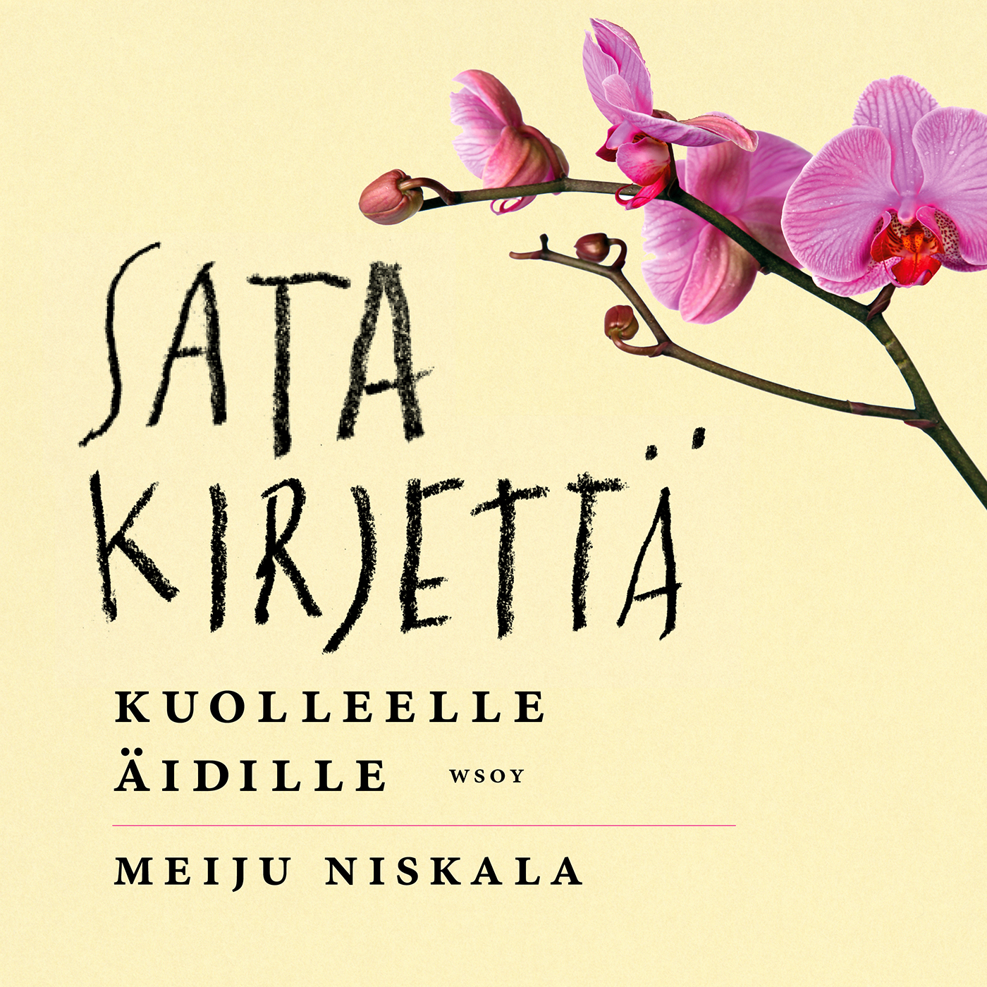 Meiju Niskala - Sata kirjettä kuolleelle äidille