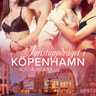 Juristuppdraget i Köpenhamn - erotisk novell - äänikirja