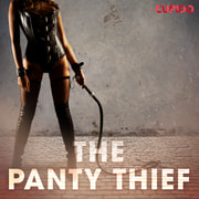 N/A - The Panty Thief