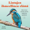 Jennifer Ackerman - Lintujen ihmeellinen elämä – Miten linnut viestivät, pesivät, leikkivät ja ajattelevat