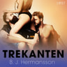 B. J. Hermansson - Trekanten - erotisk novell