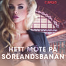 Kustantajan työryhmä - Hett möte på Sörlandsbanan - erotiska noveller